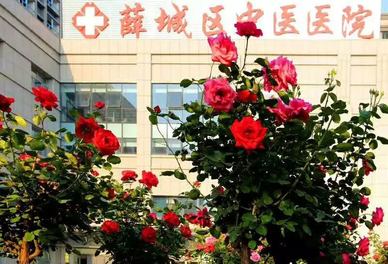 薛城區(qū)中醫(yī)院被命名為“省級(jí)衛(wèi)生先進(jìn)單位”